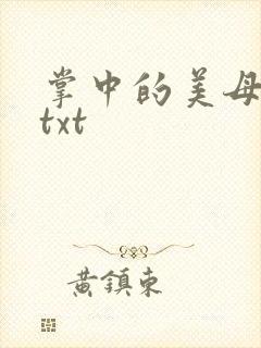 掌中的美母版主txt