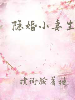 隐婚小妻生个娃
