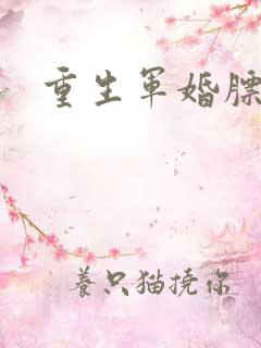 重生军婚膘悍妻