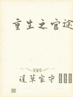 重生之官途辉煌