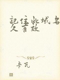 记住此域名记永久有效