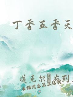 丁香五香天麻豆