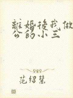 离婚后我做了老公的小三