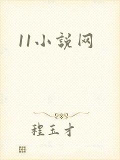 11小说网