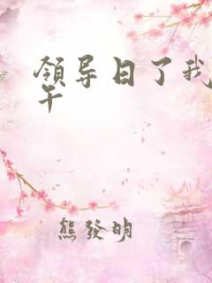 领导日了我一下午