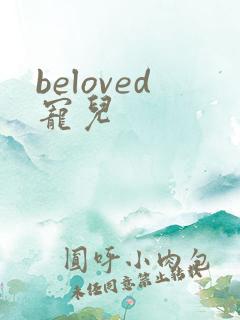 beloved宠儿