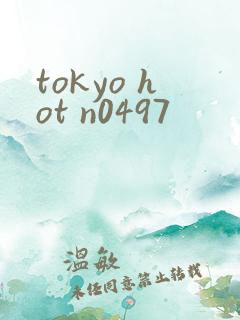 tokyo hot n0497