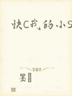 快C我的小SB