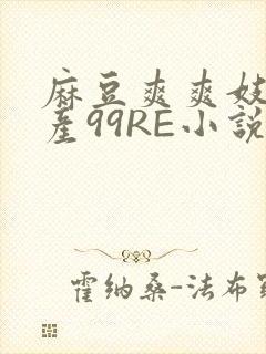 麻豆爽爽妓女国产99RE小说