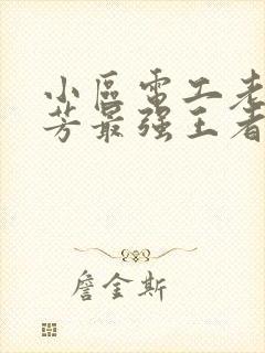 小区电工老周刘芳最强王者