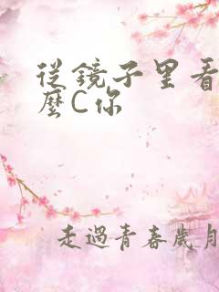 从镜子里看我怎么C你