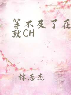 等不及了在车里就CH