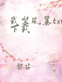 武装风暴txt下载