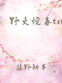野火烧春txt