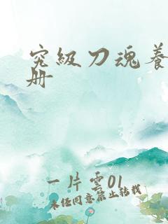 究级刀魂养成手册