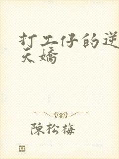 打工仔的逆袭楚天娇