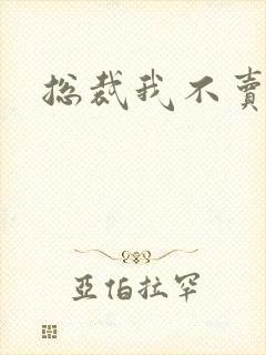 总裁我不卖宝宝