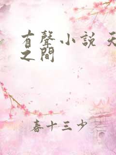 有声小说 天地之间