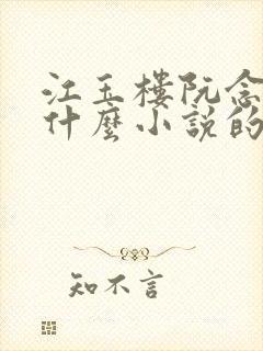 江玉楼阮念笙是什么小说的名字