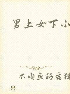 男上女下小说