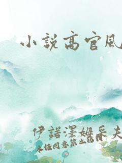 小说高官风流