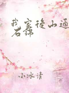 我家后山通仙界石锦