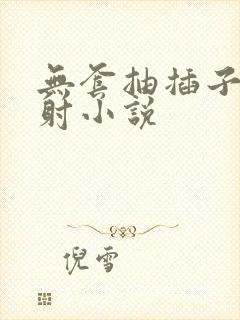 无套抽插子宫内射小说