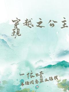 穿越之公主要娶亲