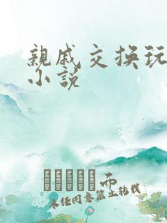 亲戚交换玩美妇小说