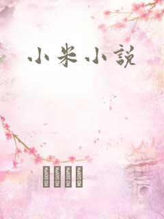 小米小说