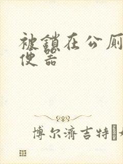 被锁在公厕当坐便器