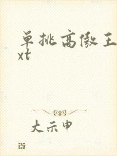 单挑高傲王子txt