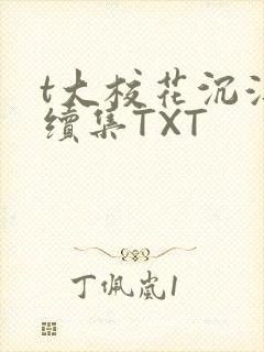 t大校花沉浮录续集TXT