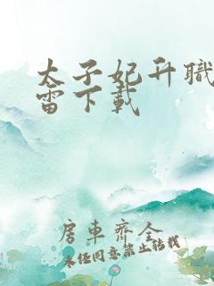 太子妃升职记迅雷下载