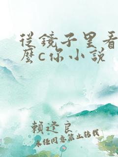 从镜子里看我怎么c你小说