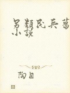 另类民兵葛二蛋小说