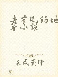 去有风的地方原著小说