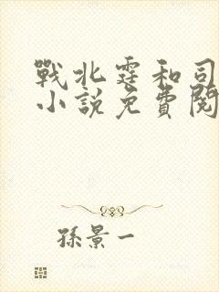 战北霆和司情的小说免费阅读