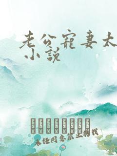 老公宠妻太甜蜜 小说