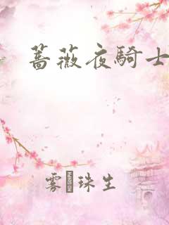蔷薇夜骑士