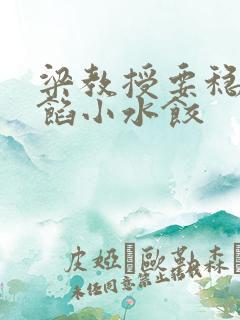 梁教授要稳住肉馅小水饺