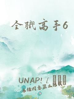 全职高手6