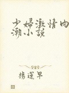 少妇激情肉欲高潮小说
