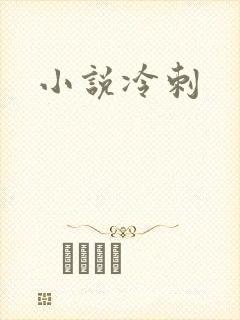小说冷刺