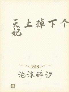 天上掉下个奇王妃