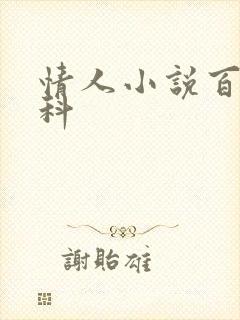 情人小说百度百科