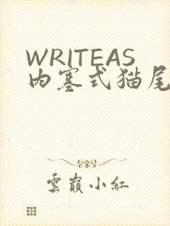 WRITEAS内塞式猫尾