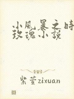 小风暴之时间的玫瑰小说