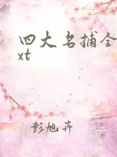 四大名捕全集txt