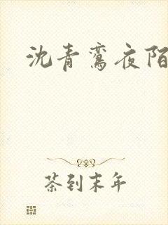 沈青鸾夜陌凌